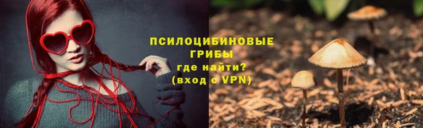 крисы Алзамай