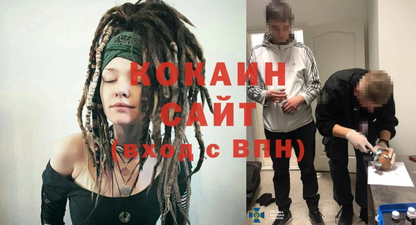 крисы Алзамай
