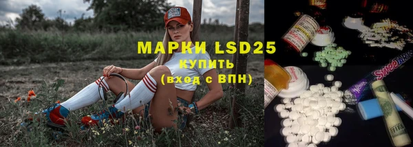 крисы Алзамай