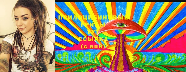 прущая мука Арсеньев