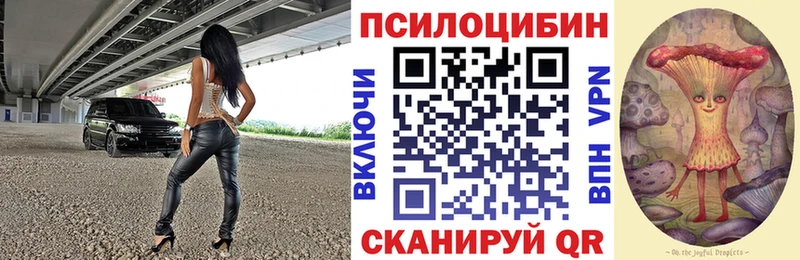 Галлюциногенные грибы ЛСД  где купить наркоту  Петропавловск-Камчатский 
